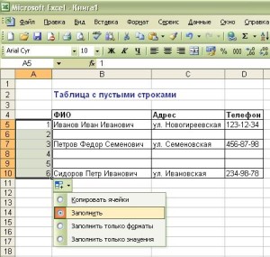  строки электронной таблицы